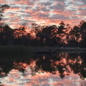 Meet your Posher, The one